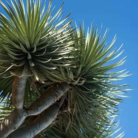 شقة Residencial Parque Flores بويرتو ذي لا كروز