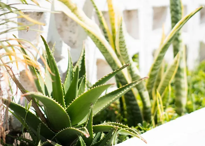 شقة Residencial Parque Flores *