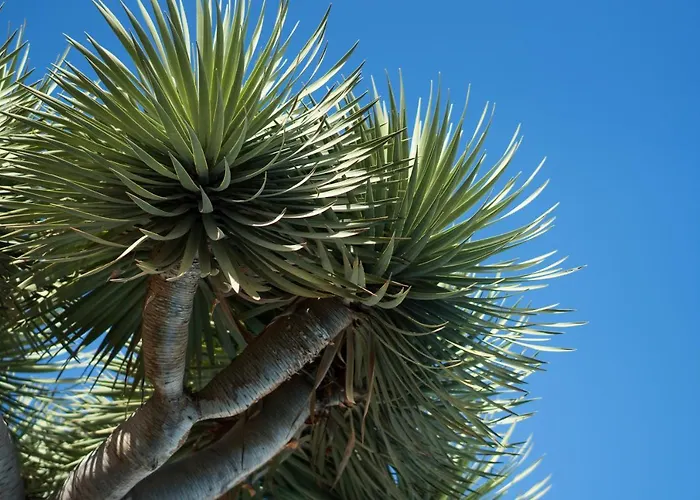 شقة Residencial Parque Flores بويرتو ذي لا كروز