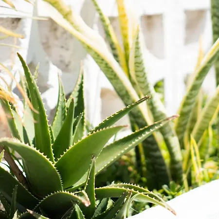 Appartamento Residencial Parque Flores *